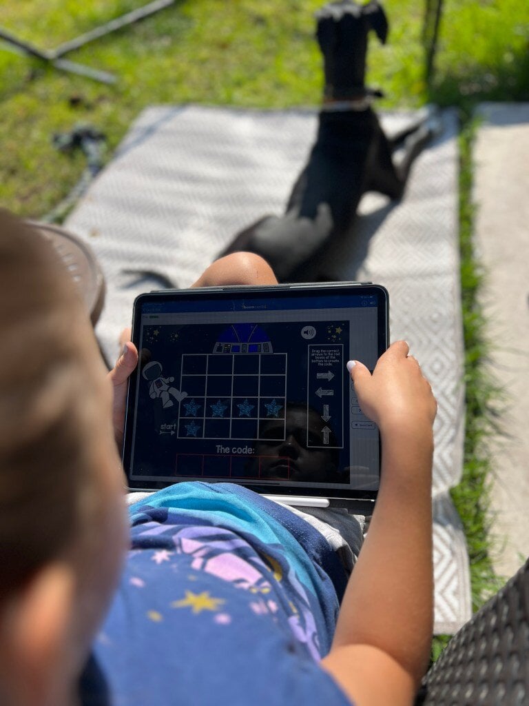 Homeschooling with Boom Cards: Accommodate Every Learning Style! | Boom ...